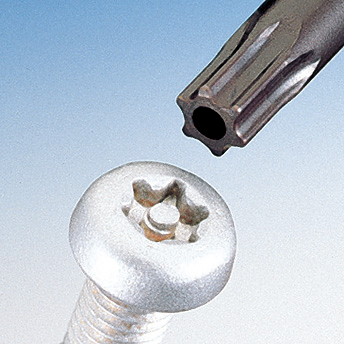 Tamper-proof TORX tip-end